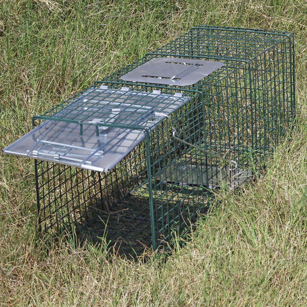 Humane Animal Trap 32x12x12 Steel Cage Live Rodent Control Skunk Rabbit ...