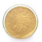 Ginger Extract