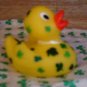 Shamrock hand painted Rubber Duck