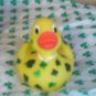Shamrock hand painted Rubber Duck