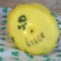 Shamrock hand painted Rubber Duck