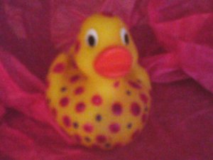 Dotty hand painted rubber duck