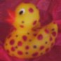 Dotty hand painted rubber duck