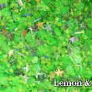 'lemon & lime' glitter mix