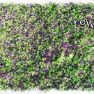 'rowdy' glitter mix