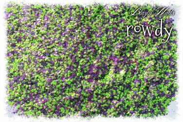 'rowdy' glitter mix