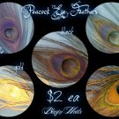 peacock eye feathers