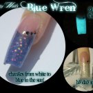 'blue wren' glitter  acrylic mix glow colour change