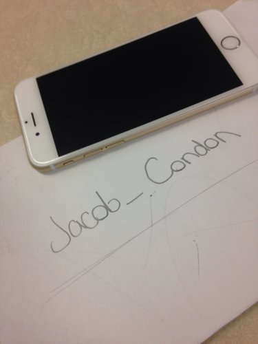 Apple iPhone 6 Gold (Factory Unlocked) (Used)