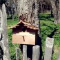 Bird House-Blue Jay, for your Garden, made for order