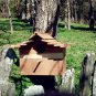 Bird House-Blue Jay, for your Garden, made for order
