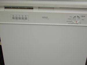 Kirkland Dishwasher