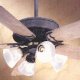 LIGHTING & CEILING FANS
