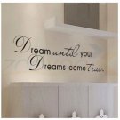 Dream until your dreams come true Quotes Vinyl Wall Stickers