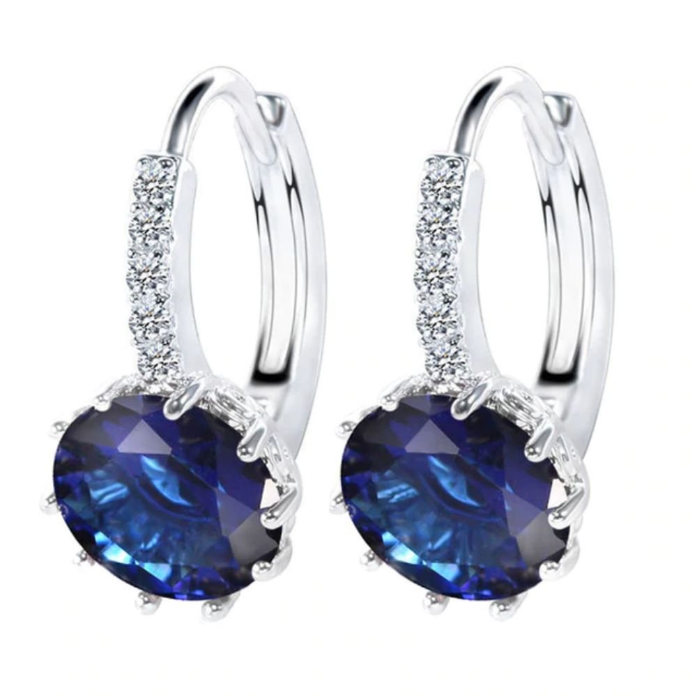Luxury Round With Cubic Zircon Charm Flower Ear Stud Earrings For Women (Blue)