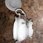 FREE SHIPPING Wawel Poland Moss Rose Pattern Covered Serving Bowl with Lid Vegetable Sugar