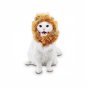 NEW Small Lion's Mane Pet Dog and Cat Costume