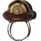 Ring "Forest"