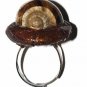 Ring "Forest"