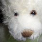 NWT Scraggles 12" Teddy Bear by First and Main Plush Stuffed Animal