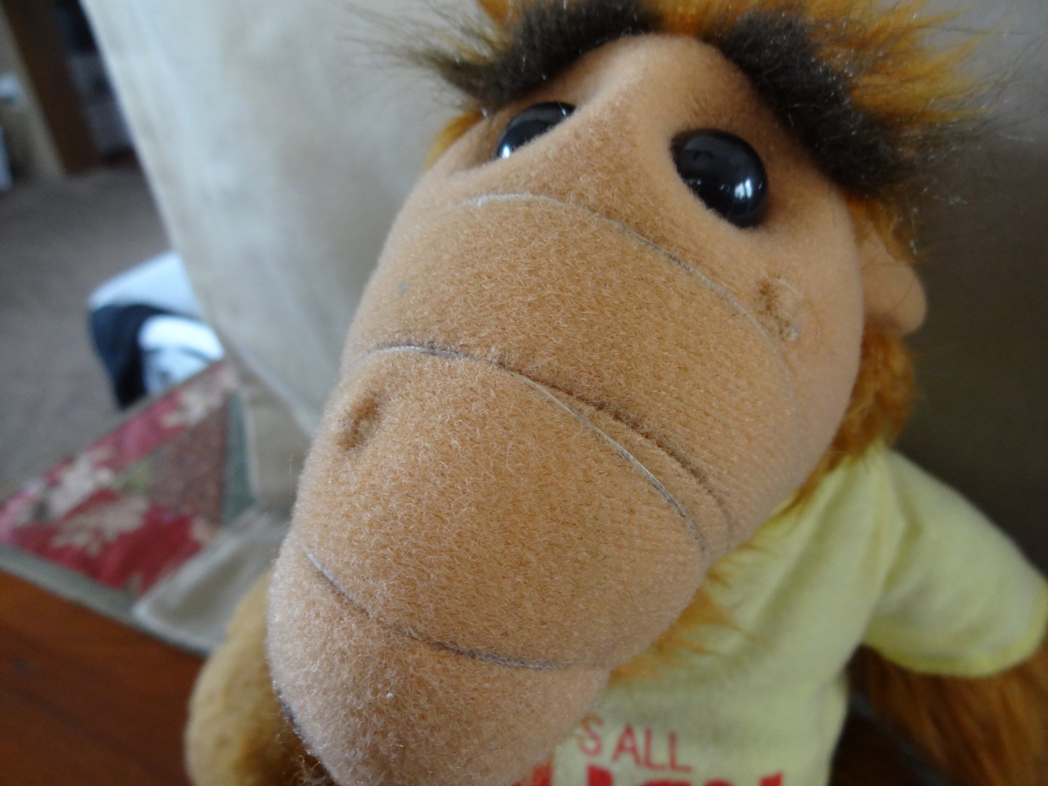 coleco alf