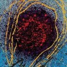 Float, Offset Lithograph, Dale Chihuly