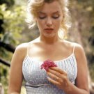Marilyn Monroe (Flower), Photograph, Sam Shaw
