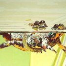 Fire Belly Toads, Ltd Ed Silk-screen, Fran Bull