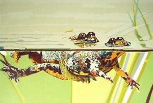 Fire Belly Toads, Ltd Ed Silk-screen, Fran Bull