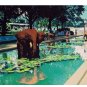 Elephant Pond, Ltd Ed Silk-screen, Fran Bull