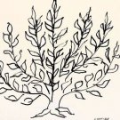 Nadia Au Menton Pointu, Serigraph, Henri Matisse