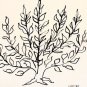 Nadia Au Menton Pointu, Serigraph, Henri Matisse