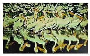White Pelican, Ltd Ed Silk-screen, Fran Bull
