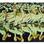 White Pelican, Ltd Ed Silk-screen, Fran Bull