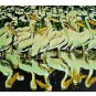 White Pelican, Ltd Ed Silk-screen, Fran Bull