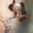 Falcon, Offset Lithograph, Kaiko Moti