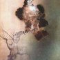 Falcon, Offset Lithograph, Kaiko Moti