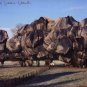 Wrapped Trees, Offset Lithograph, Christo