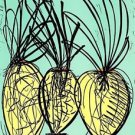 Woodcut Ikebana Print, Ltd Ed, Dale Chihuly