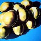10 Lemons, Ltd Ed Silk-screen, Lowell Nesbitt