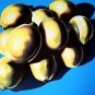 10 Lemons, Ltd Ed Silk-screen, Lowell Nesbitt