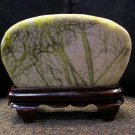 Tree Scenery Stone