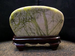Tree Scenery Stone