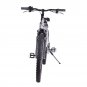 Electric Bicycle Alpine X-Treme