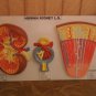 Human Kidney Glomeruli Nephron Dissection Anatomy Model