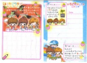 Japan Kamio Strawberry Diary Memos