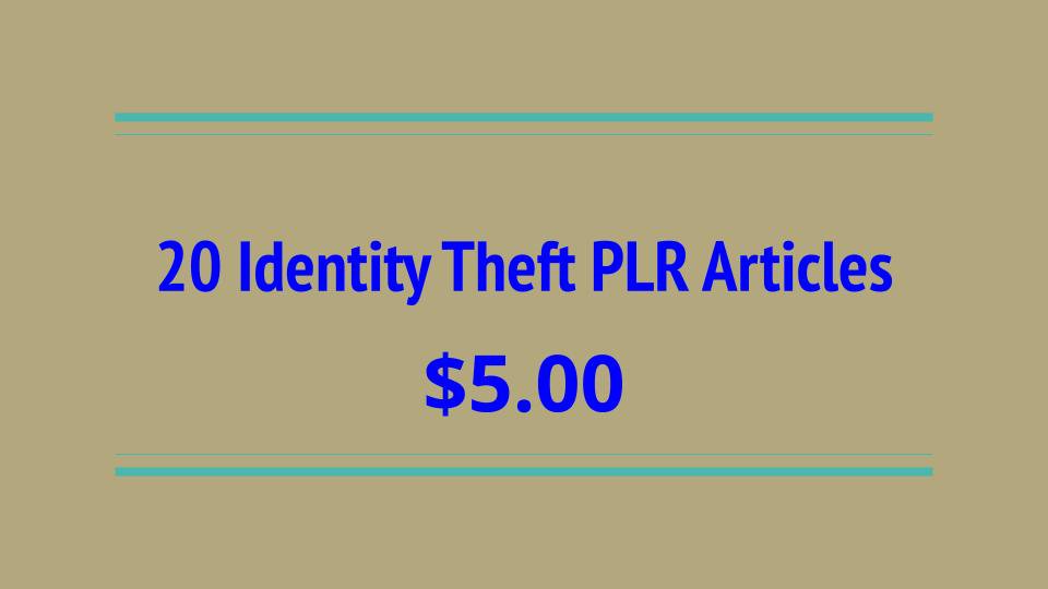 20 Identity Theft PLR Articles Digital Download