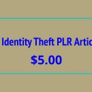 20 Identity Theft PLR Articles Digital Download