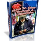 How To Soar Through A Recession Digital Download