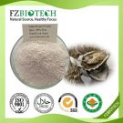 Oyster Powder